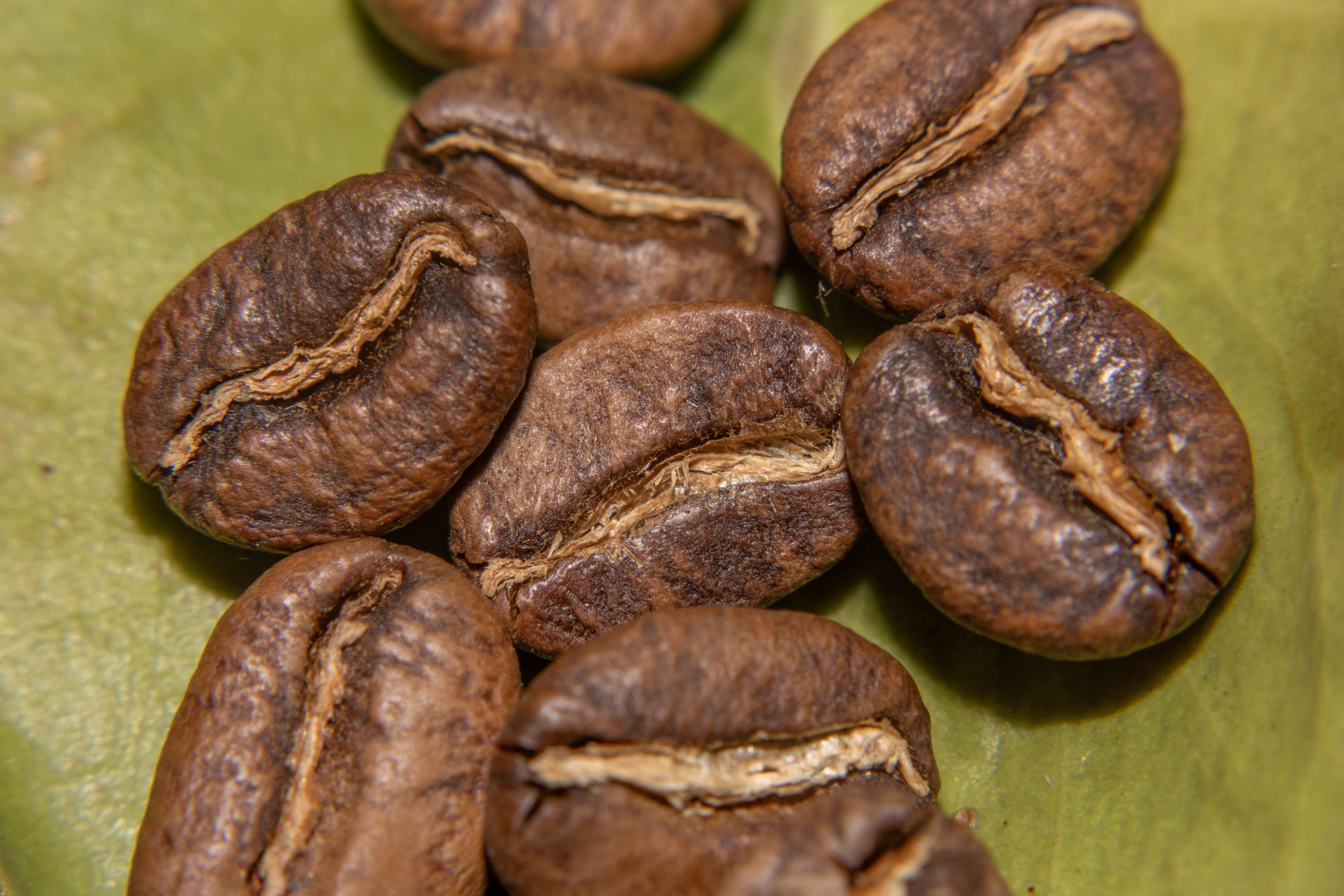 Café Querida