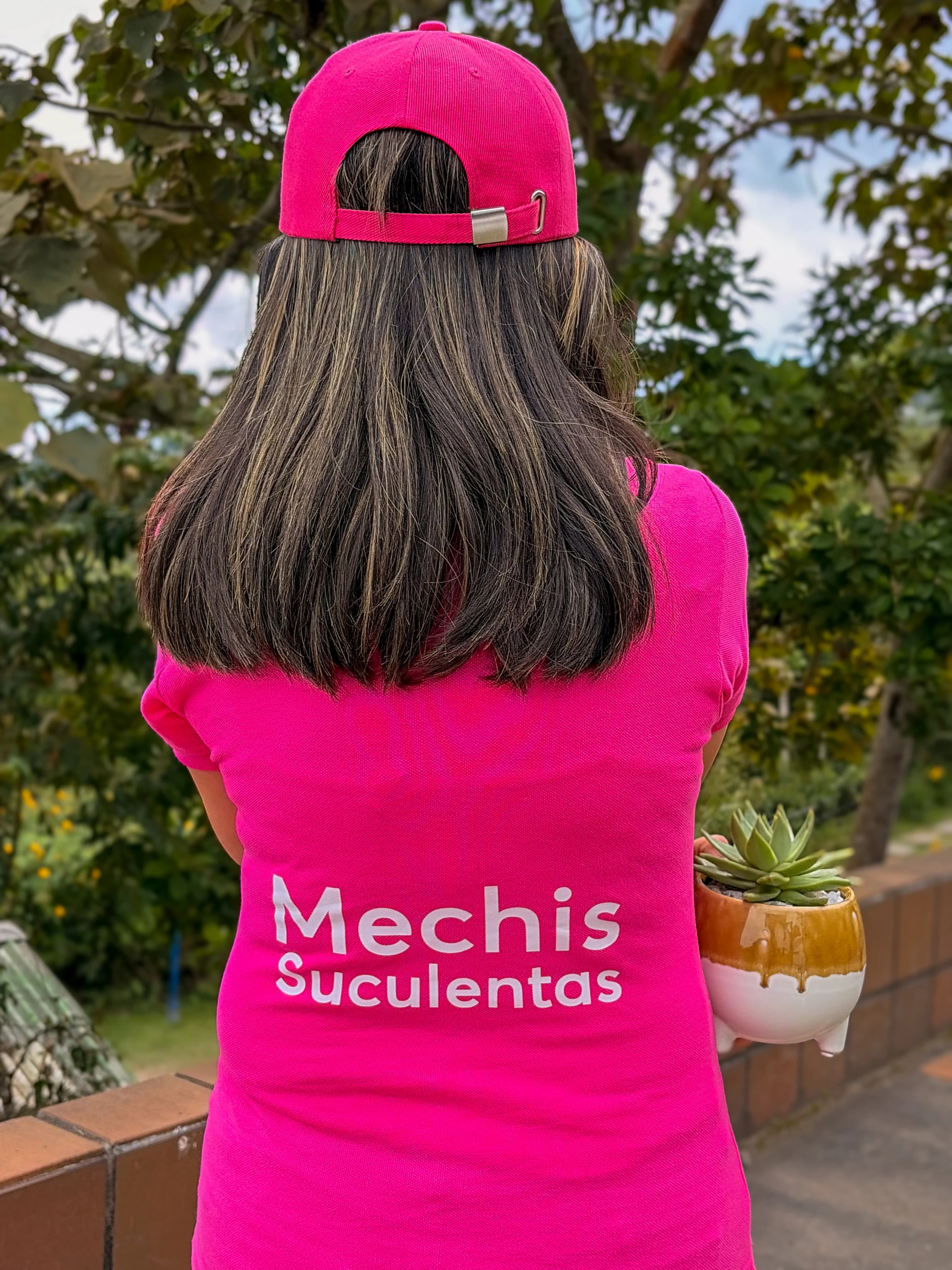 Mechis Suculentas